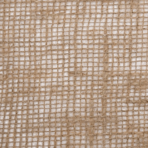 img-3d62c1d9-0749-44da-8cfc-05cc7f29d547.png