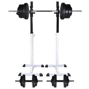 vidaXL Stazione per Squat con Bilanciere e Set di Manubri da 60,5 kg