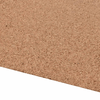 img-ad9807d5-8ddd-4395-8e6b-b0a62262d65b.png