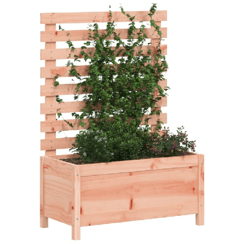 img-004233e8-b5b4-4a64-9f3b-a64e23b331c3.png