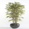 img-6b043c1e-50cf-4dd0-a1c4-a821b2748e5b.png