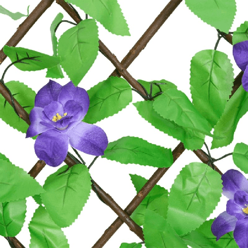 img-244f1dcc-7e76-4314-a611-49c7c2fdb474.png