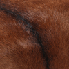 img-f8aa223a-a5e0-48c0-bb85-b092a185e014.png