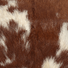 img-bc38e841-d04f-4f7f-b863-16cc1e71cbb6.png