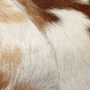 img-da07b88a-9715-4367-8088-d3f09c3695b6.png