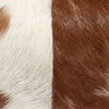 img-a84c2cfc-fdd0-4144-adbc-61215ff2f170.png