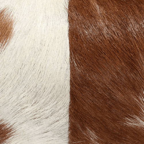 img-a84c2cfc-fdd0-4144-adbc-61215ff2f170.png