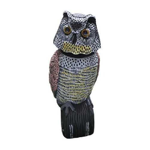 img-42c4aaff-4c31-4eb6-a20c-7d3fbd2bcd52.png