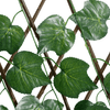 img-54ed92e0-f9df-4be5-9301-63c634649f55.png