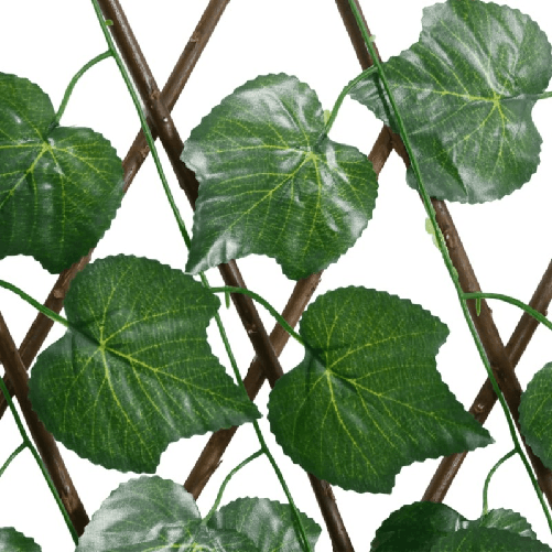 img-54ed92e0-f9df-4be5-9301-63c634649f55.png