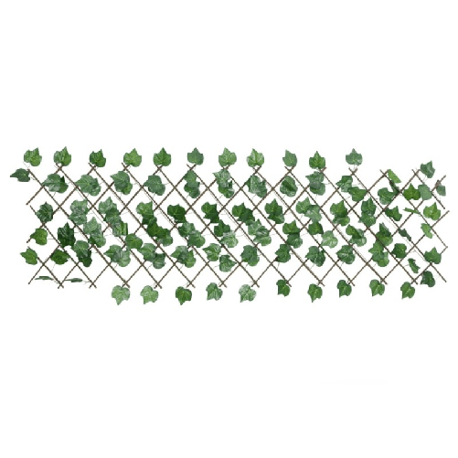 img-34f5f81b-b071-4e46-b04c-c82ba1f49562.png