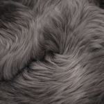 img-9f326d53-e81a-41ee-9748-4e62670c16e5.png
