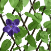 img-7fd7ca46-631b-41a3-86f8-1bb001bc6cf3.png