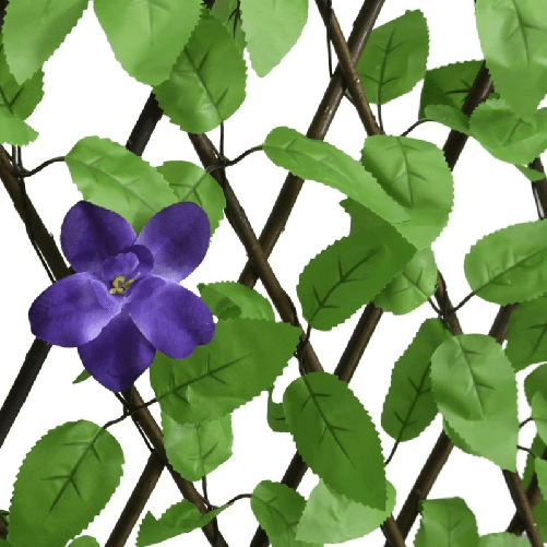img-7fd7ca46-631b-41a3-86f8-1bb001bc6cf3.png