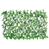 img-3bfab893-50f9-46dc-9c4a-d8e9184bf520.png