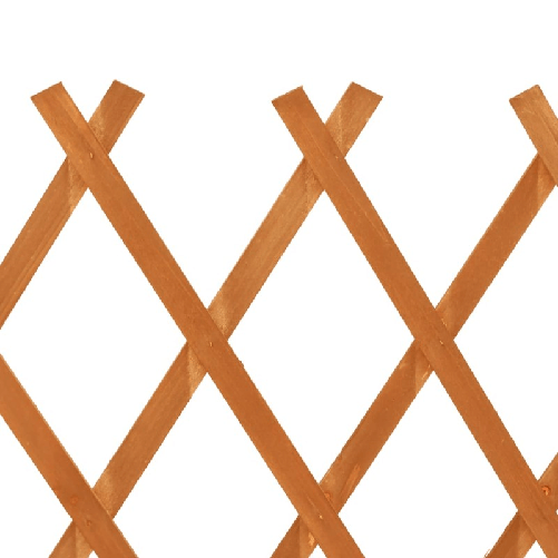 img-42866901-963b-4ede-8f46-d35adfb43712.png