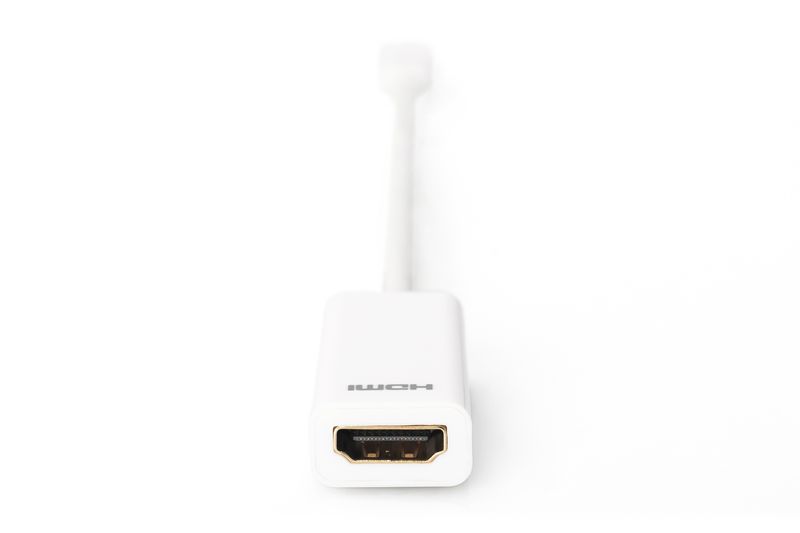 Digitus-Cavo-adattatore-DisplayPort