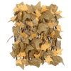 img-00ff39a7-a6bb-4ff8-a860-2301ed3f5725.png