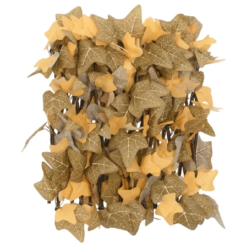 img-00ff39a7-a6bb-4ff8-a860-2301ed3f5725.png