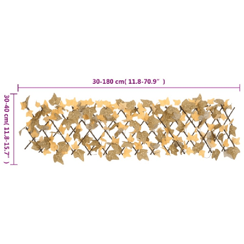img-51ede81e-3f01-4147-be27-c73f3be6d8e6.png