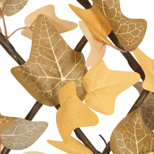 img-ba8276de-fdad-44de-8a43-ab3501334f41.png