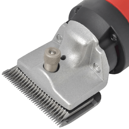 img-03d32ccd-21bc-4b17-8699-66cc30f94784.png