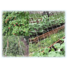 img-9604e651-138c-445a-bf02-8b78bd08e600.png