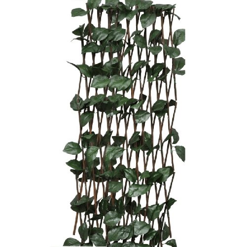 img-d969634c-1924-4b90-9295-6b55f35f9106.png