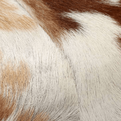 img-a717279d-351b-4f76-9917-ed1619262731.png