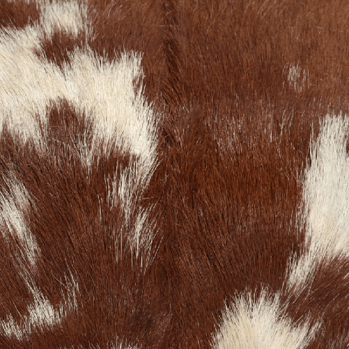 img-c95600e9-dcad-4efd-89b0-38a3490ec7a5.png