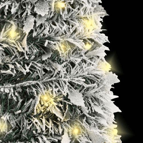 img-f82e0492-3270-4b86-89d5-2505508b2fba.png