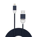 Pantone Cavo di ricarica Lightning USB PANTONE blue navy cavetto caricabatterie per Iphone Ipad ricarica veloce in