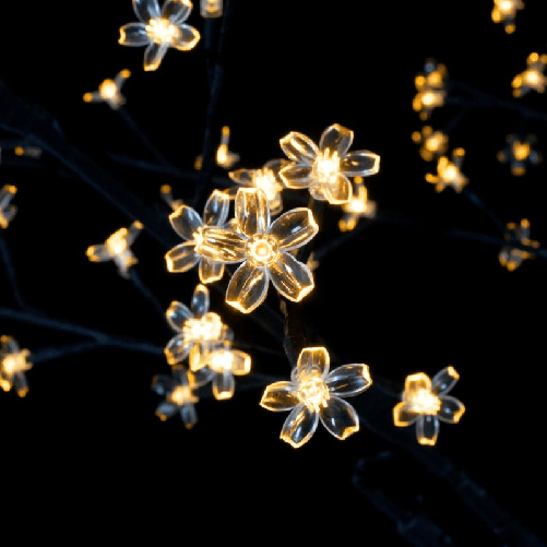 img-2767f88b-9d26-4d98-a4dd-3cb271c4d0e4.png