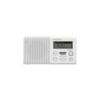 Sony-XDR-P1DBP-Radio-Tascabile-Digitale-USB