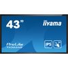 iiyama-T4362AS-B1-visualizzatore-di-messaggi-Pannello-piatto-interattivo-108-cm--42.5---IPS-500-cd-m²-4K-Ultra-HD-Nero-Touch-screen-Processor