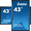 iiyama-T4362AS-B1-visualizzatore-di-messaggi-Pannello-piatto-interattivo-108-cm--42.5---IPS-500-cd-m²-4K-Ultra-HD-Nero-Touch-screen-Processor
