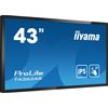 iiyama-T4362AS-B1-visualizzatore-di-messaggi-Pannello-piatto-interattivo-108-cm--42.5---IPS-500-cd-m²-4K-Ultra-HD-Nero-Touch-screen-Processor