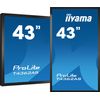 iiyama-T4362AS-B1-visualizzatore-di-messaggi-Pannello-piatto-interattivo-108-cm--42.5---IPS-500-cd-m²-4K-Ultra-HD-Nero-Touch-screen-Processor