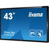iiyama-T4362AS-B1-visualizzatore-di-messaggi-Pannello-piatto-interattivo-108-cm--42.5---IPS-500-cd-m²-4K-Ultra-HD-Nero-Touch-screen-Processor