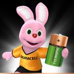 Duracell-5000394055995-batteria-per-uso-domestico-Batteria-ricaricabile-D-Nichel-Metallo-Idruro--NiMH-