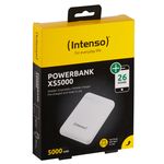 Intenso-7313522-batteria-portatile-Polimeri-di-litio--LiPo--5000-mAh-Bianco