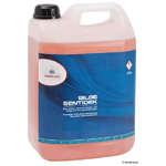 Detergente per sentina Bilge Sentidek 5 l 65.249.01