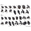 img-de9c19bf-8c10-4a23-8d51-61c2f51ee590.png