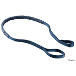 Cinghia Ormeggio Mooring Belt, 2m Douglas marine