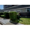 Metabo-HS-18-LTX-BL-75-Lama-singola-44-kg