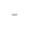 Apple-MD820ZM-A-adattatore-per-inversione-del-genere-dei-cavi-Lightning-Micro-USB-Bianco