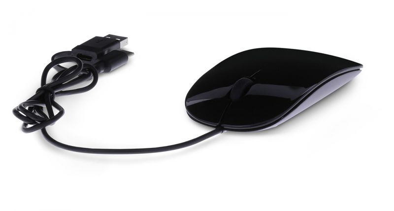 LMP-Easy-Mouse-USB-C-2-tasti---scroll-ottico-1600-dpi-Grigio-siderale---nero-con-adattatore-USB3.0