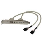 StarTech.com Adattatore piastra slot USB A femmina 2 porte