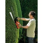 Black---Decker-GTC1845L20-QW-tosasiepe-Doppia-lama-26-kg