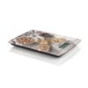 Laica-KS1034-bilancia-da-cucina-Multicolore-Superficie-piana-Rettangolo-Bilancia-da-cucina-elettronica
